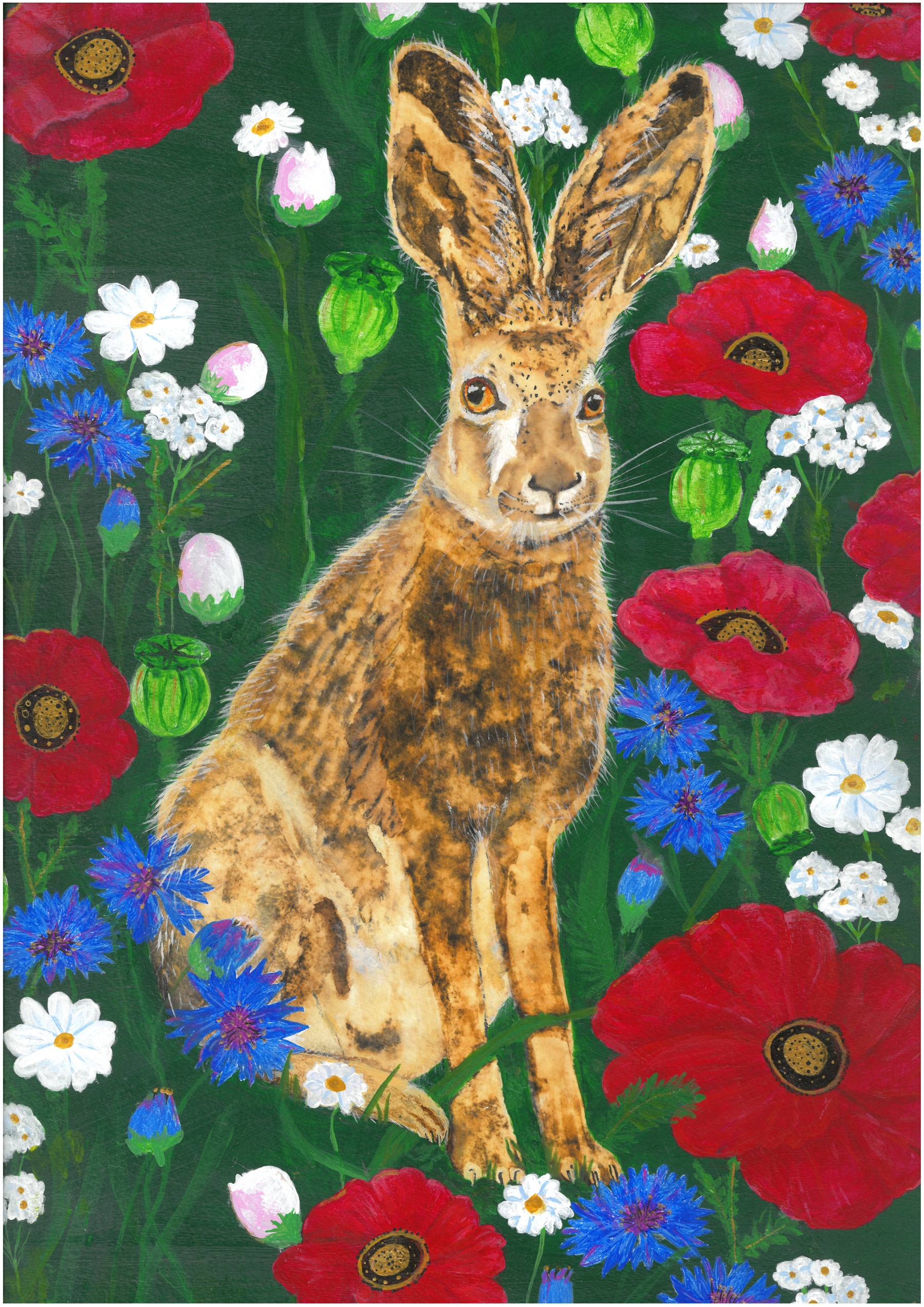 A Fragile Calm, a painting by Michelle Rose of an alert hare among red poppies, blue cornflowers and white daisies.