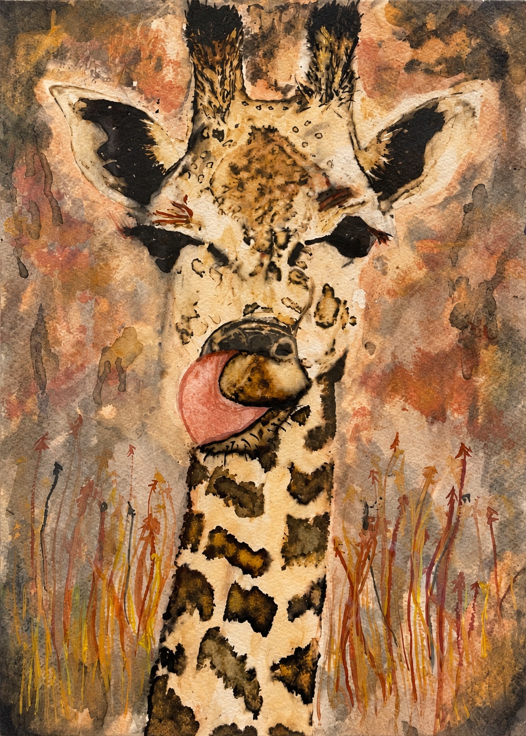 Giraffe portrait with its tongue curling across its muzzle, surrounded by warm textured colour and grasses, edited photograph without its frame.