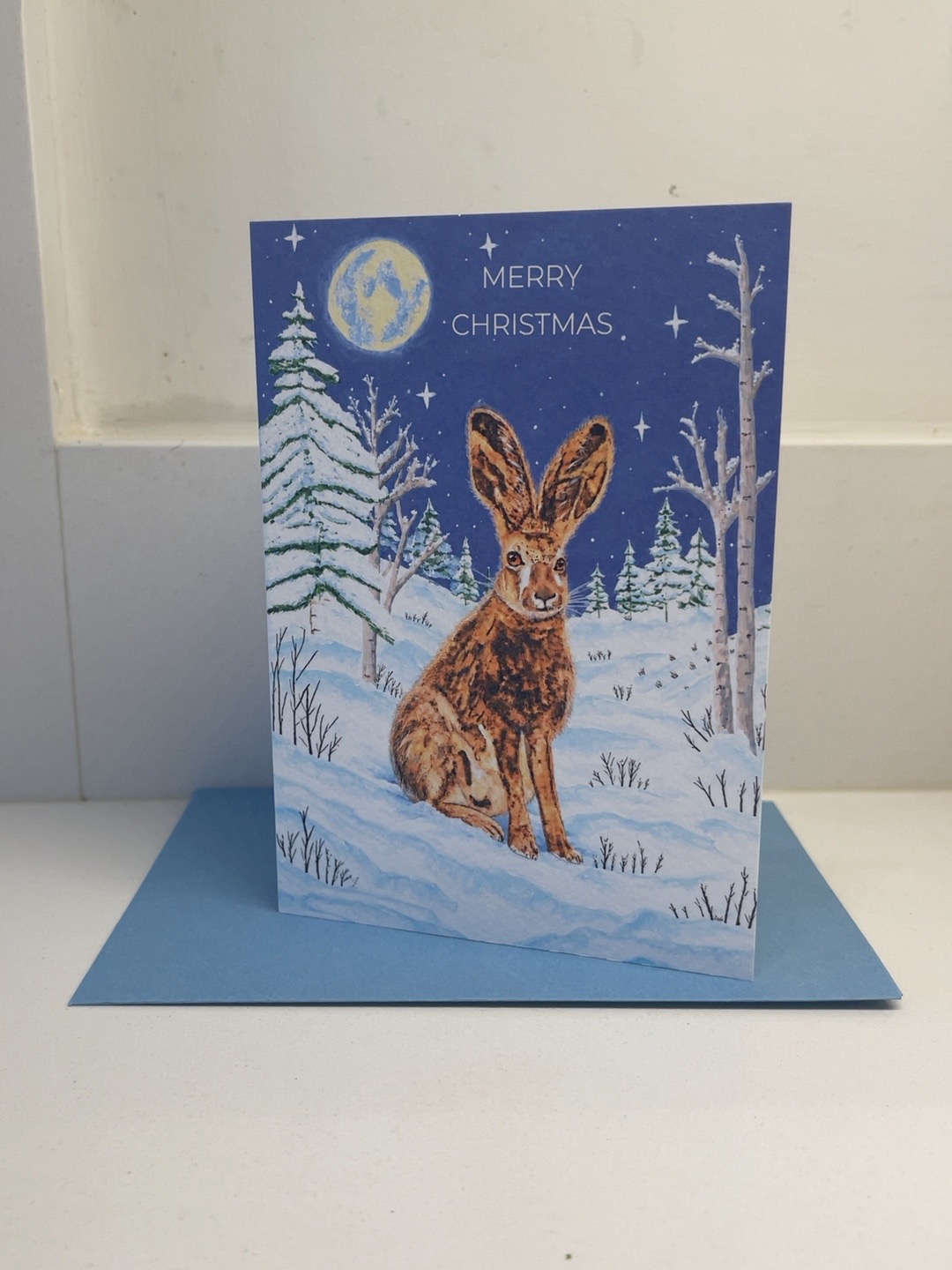 Winter Stillness Christmas card featuring a hare in moonlit snow, photographed with its blue envelope